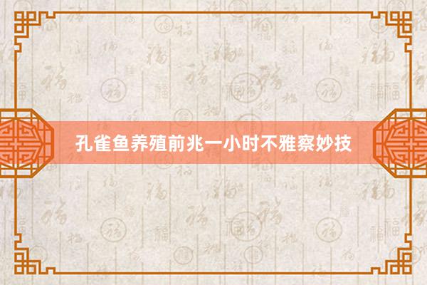 孔雀鱼养殖前兆一小时不雅察妙技