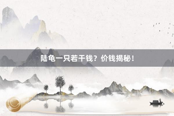 陆龟一只若干钱？价钱揭秘！